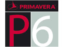 Curso de Gerenciamento de Projetos através do PRIMAVERA P6